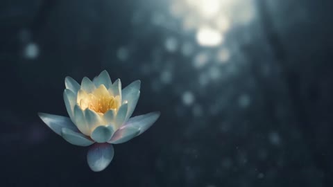 Abraham Hicks - Guided Meditation Into The Vortex (Mostly Meditation Music)