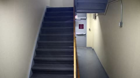 3865FHOB01Stair10_2021-01-05_02h40min00s253ms.mp4