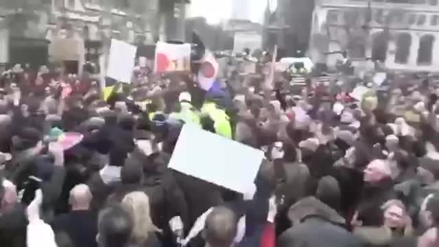 Biểu tình lớn nhất trong lịch sử của Anh 🇺🇸Hugest Protests in UK‘s history