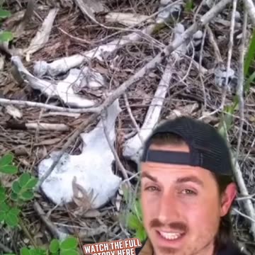 A monster lives on this uninhabited island