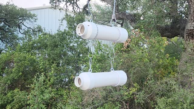 Bee dry feed feeder