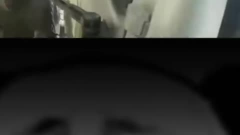 Naughty animals and funny