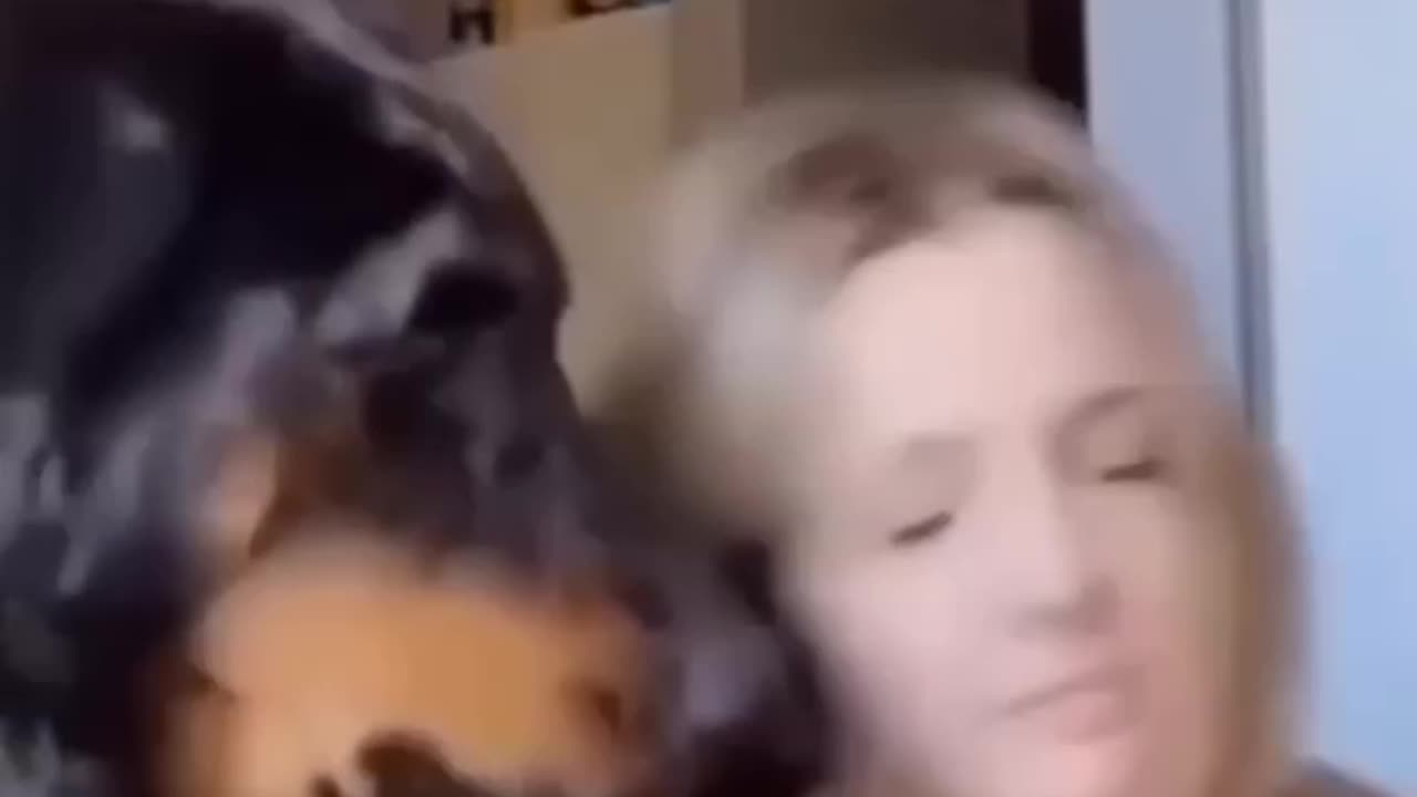 My dog โโcomes and kisses me when he hits me๐
๐