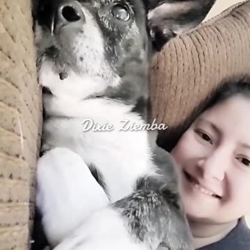 Nothing beats a lazy morning with your furry best friend 🐶