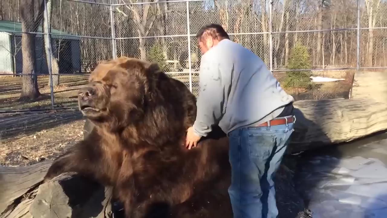 Animals Reunited With Owner After Years #2