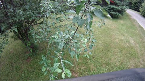 June 17th, 64º Flynn almost makes it into Prentiss