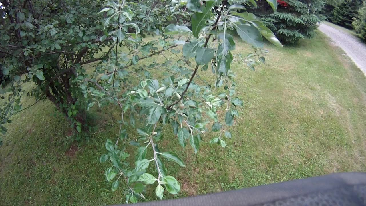 June 17th, 64º Flynn almost makes it into Prentiss