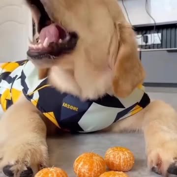 I really like tangerine.