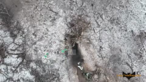 ☁️ STRAIGHT FROM THE SKIES