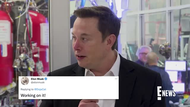 Doja Cat Asks Elon Musk for HELP With the New Twitter E! News