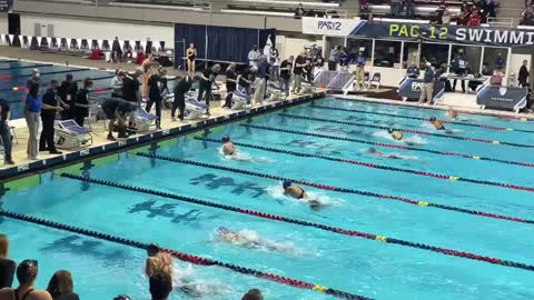 Dobler 100 breast