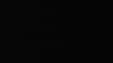2923RHOBGRXrayLowerIndep_2021-01-05_07h20min02s450ms.mp4