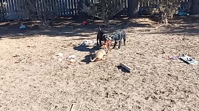 Tug of war time