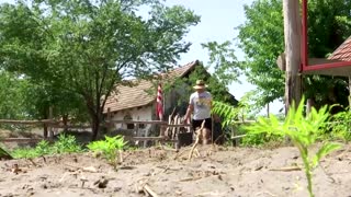 Hungarian farmers battle 'historic' drought