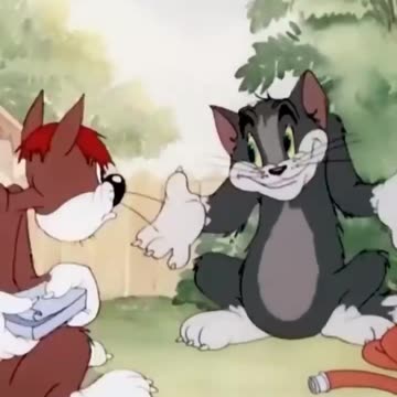 Несчастные коты (2)