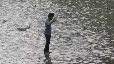 Walking on water prank