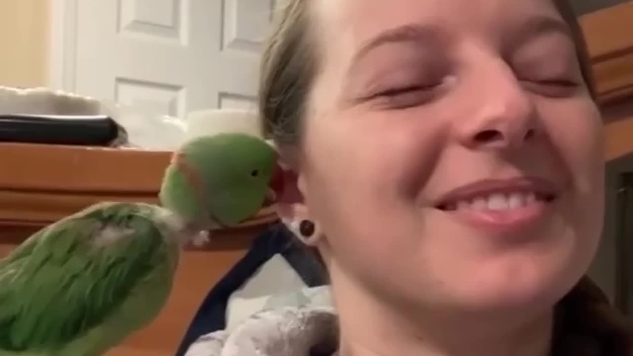 PARROT SINGS HIS LITTLE HEART OUT