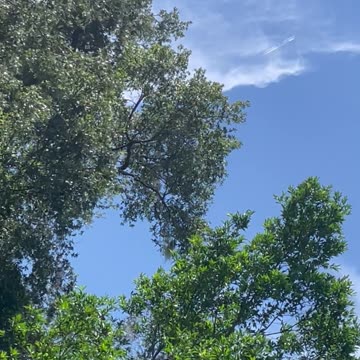 ChemTrailer Caught in the ACT!