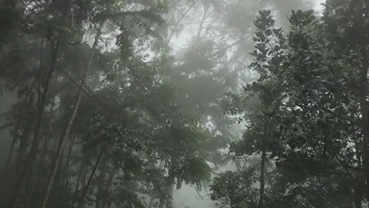 Heavy rain while looking for a place to camp