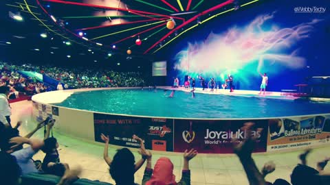 Awesome Dolphin Show in Dubai Dolphinarium