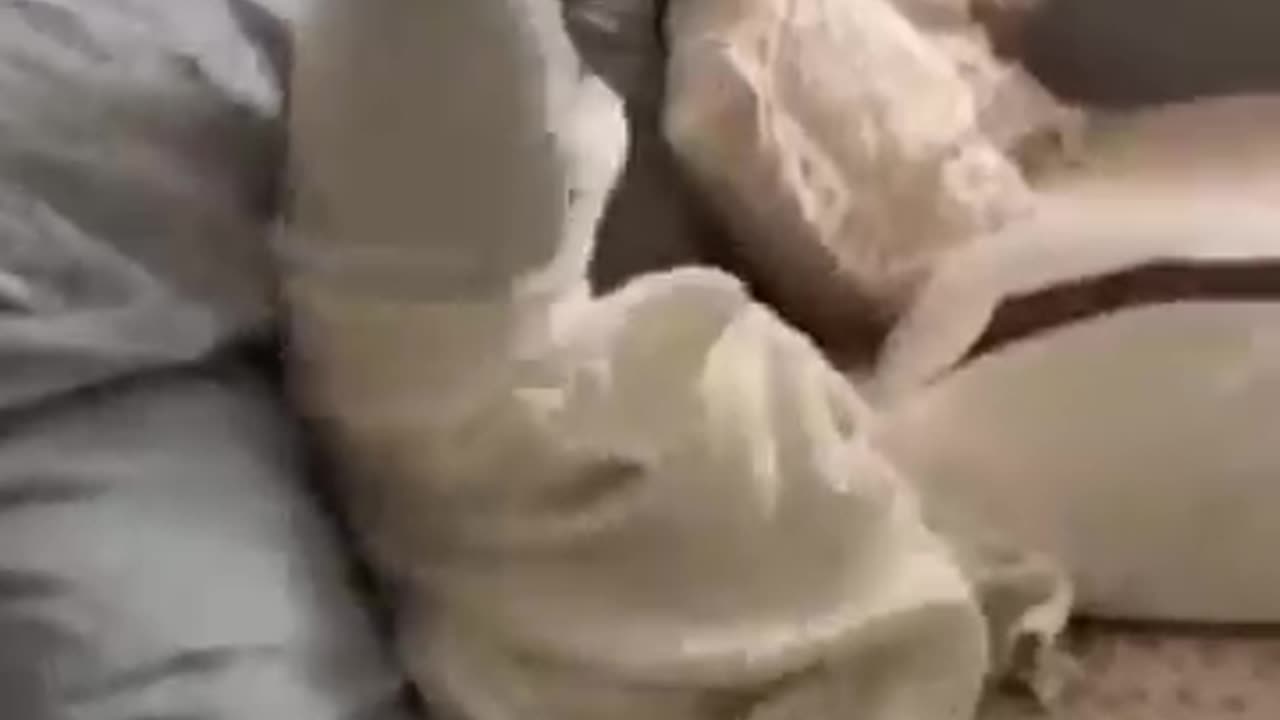Funny video best Friend Funny 2023
