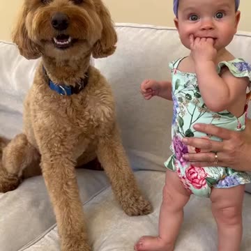 When dogs are the only thing that can make me forget my problems.......!~