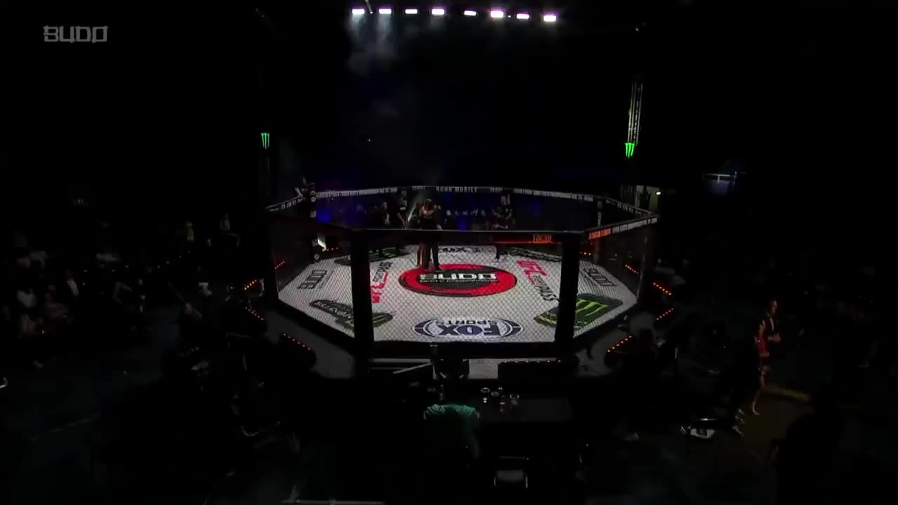 Budo Sento 23 STRIKING Jun 28 2024