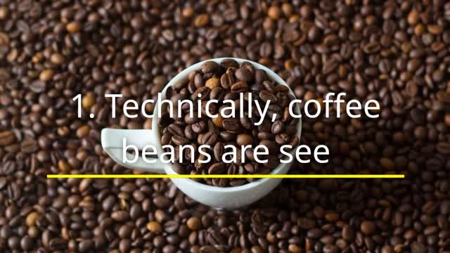 FUN FACTS YOU SHOULD KNOW ABOUT COFFEE