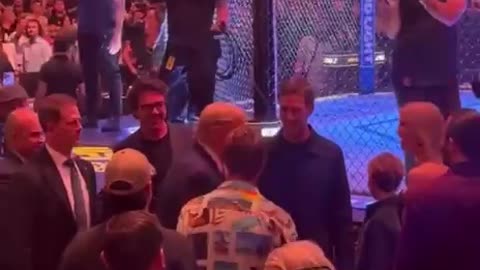 Donald Trump at UFC299