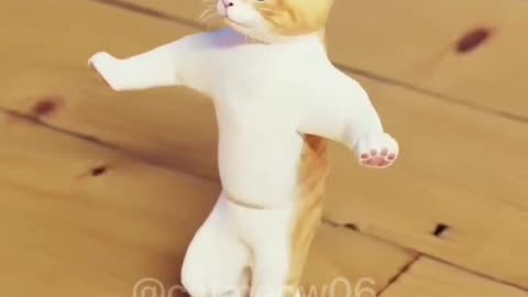 krate king cute cat