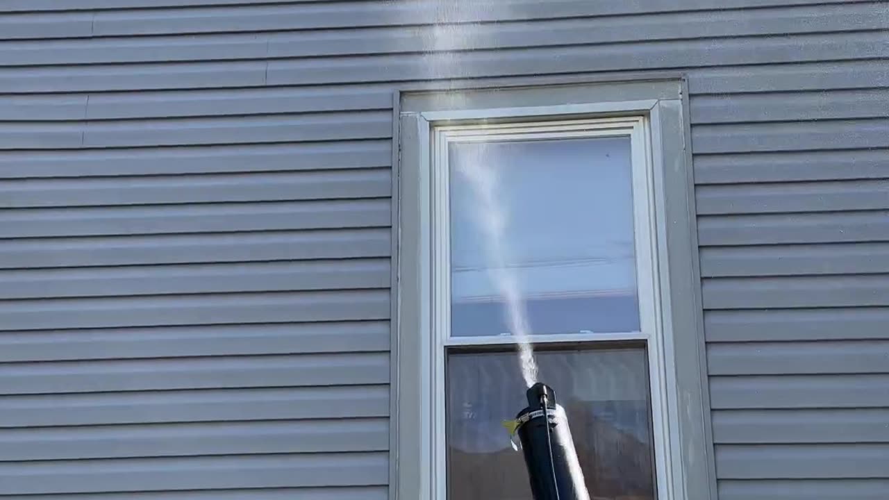 How to eradicate boxelder bugs