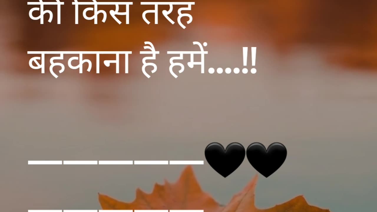 SHAYARI 3