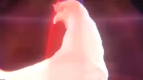 Chicken Song