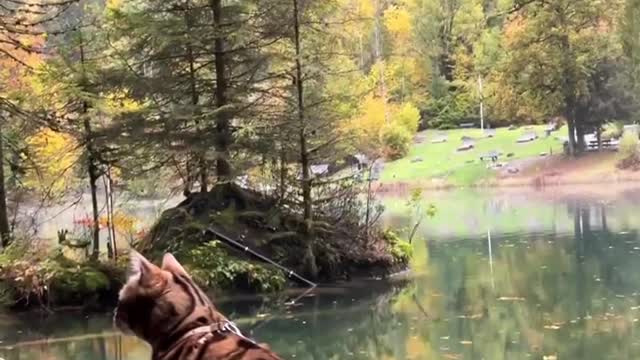 "Therapy ππ»π§π»ββοΈπΎβ β πBlausee Lake - Switzerland π¨π"