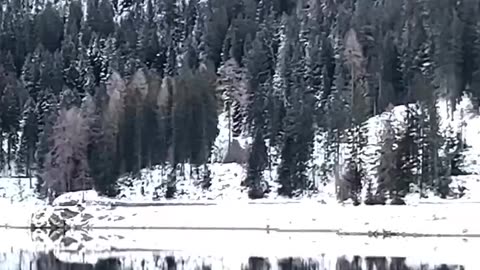 WEF/DAVOS - NO GREEN TRANSPORTATION