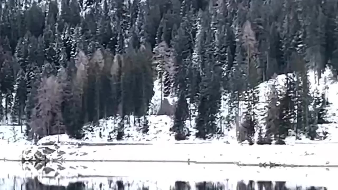 WEF/DAVOS - NO GREEN TRANSPORTATION