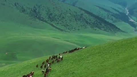 Ab samajh nhi aa rha hai kaha jaon