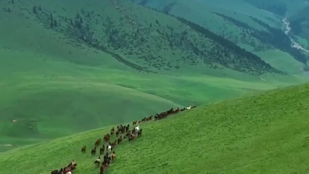 Ab samajh nhi aa rha hai kaha jaon