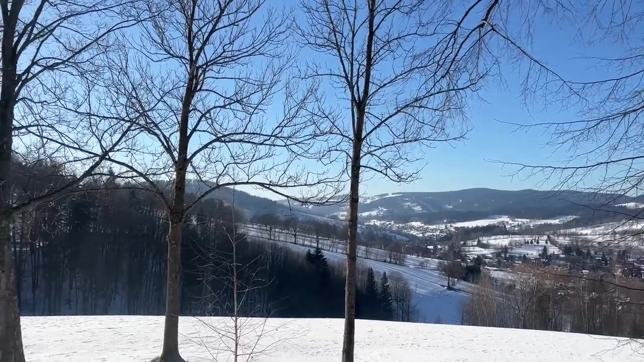 70 Přistání se nezdařilo. Paraglaidista v ohrožení života. Záchranáři nedorazili. Holubec žije.