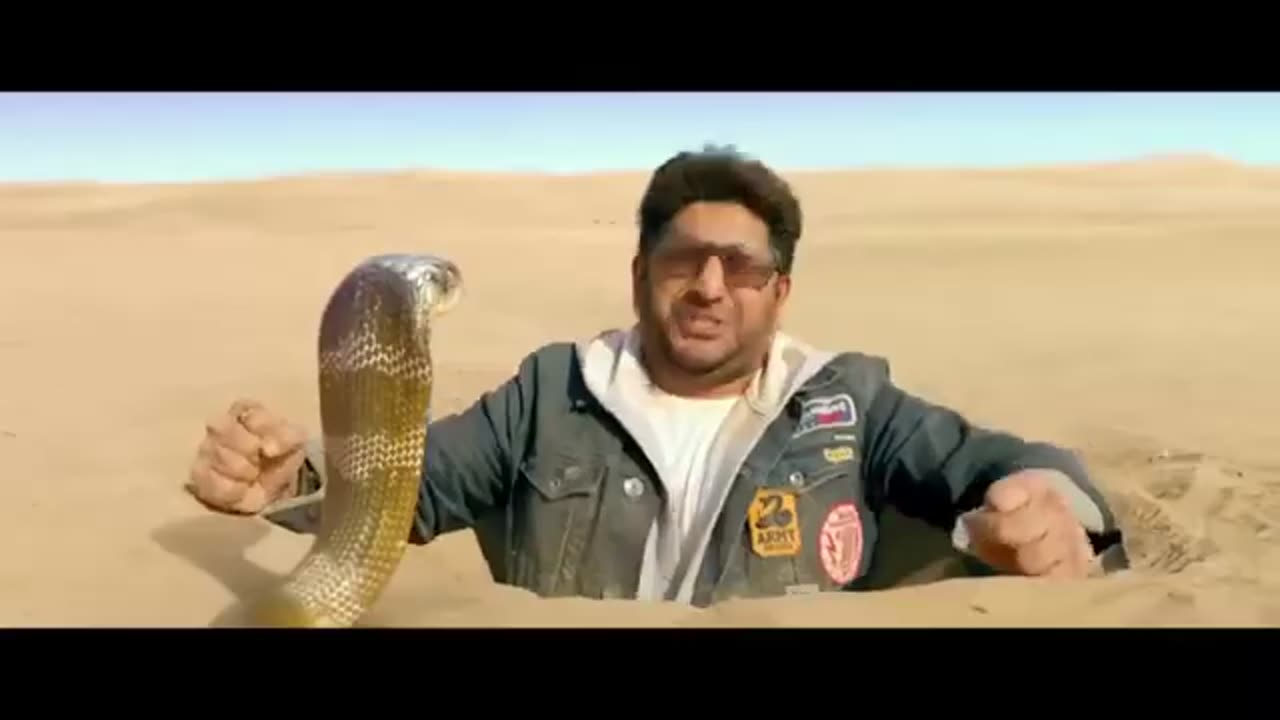 Total dhamaal