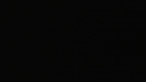 2923RHOBGRXrayLowerIndep_2021-01-05_05h40min02s203ms.mp4