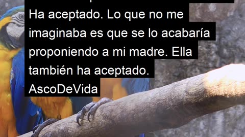 Asco de Vida #139