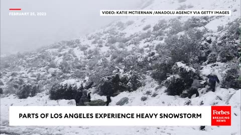 Parts Of Los Angeles Are Hit With Heavy Snowstorm | Winter Weather