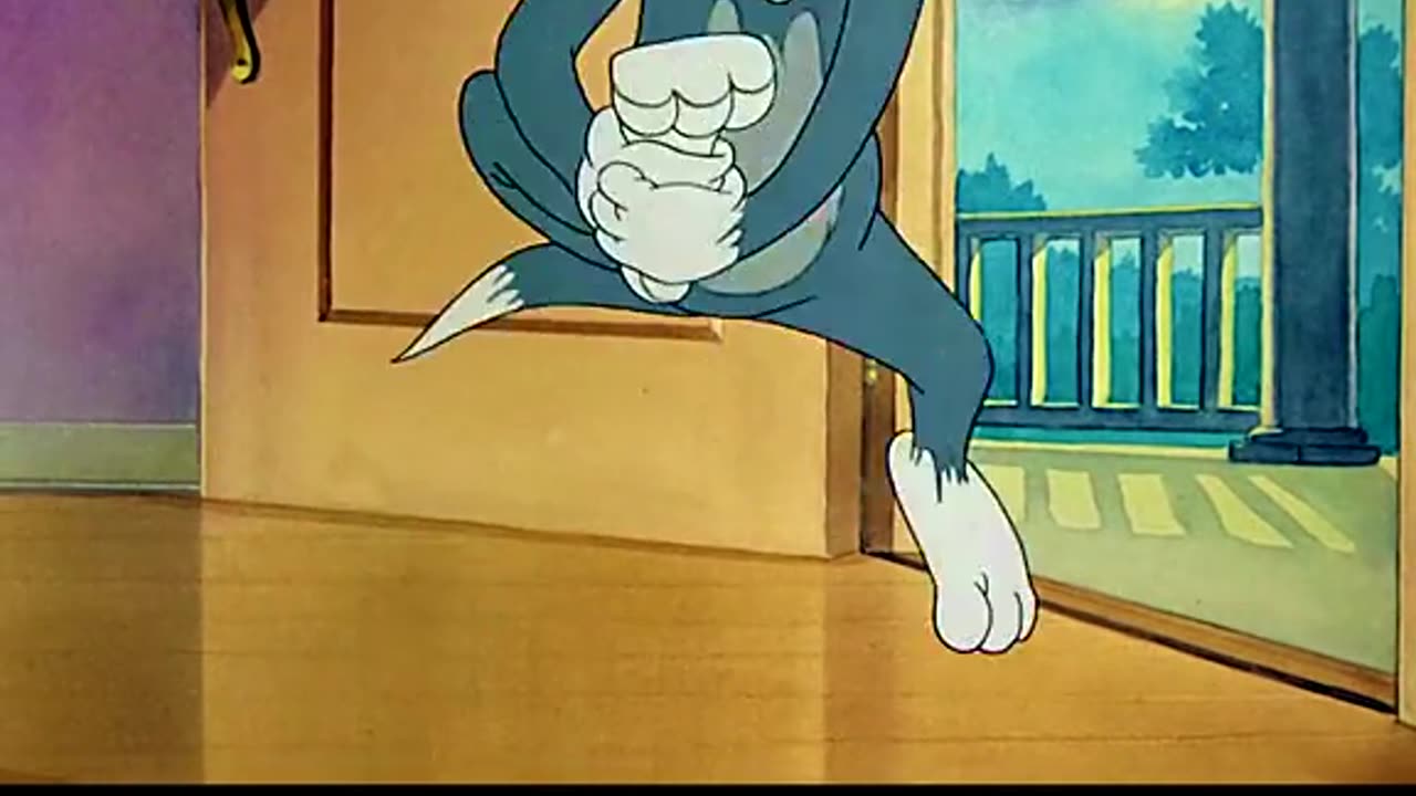 TOM AND JERRY CARTOON