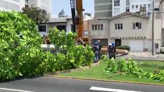 Vecinos de Miraflores, PERÚ