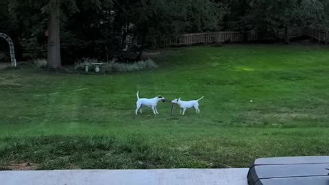 Brother and Sister playing it out