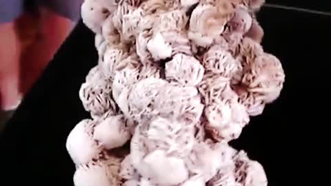 Natural Phenomena Recorded On Camera Part 3