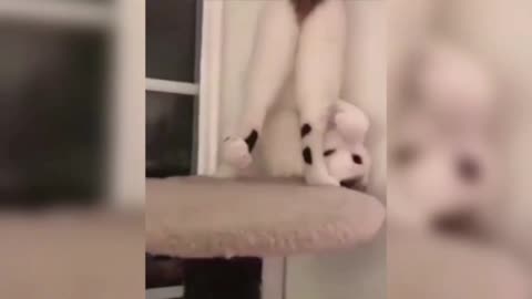 You know me too well. Tickling is so good.