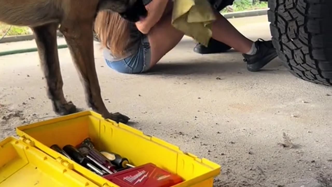 Whiskey is always there to help
