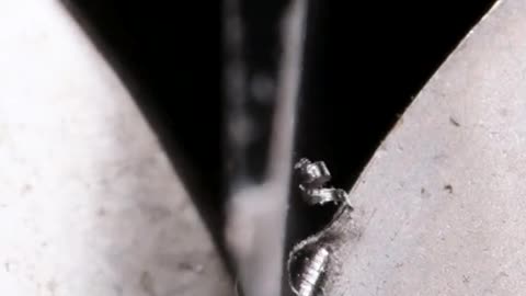 Knife Sharpening #closeup #amazing #macro #slowmo #satisfying #science